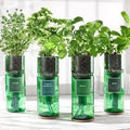 Rebello Herb Garden Kit — Set of 4 Upcycled Bottle Planters
