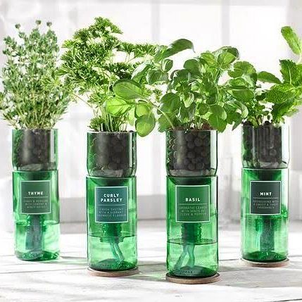 Rebello Herb Garden Kit — Set of 4 Upcycled Bottle Planters