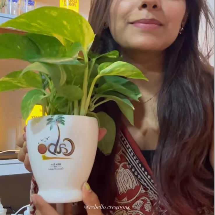 Cabo Planter
