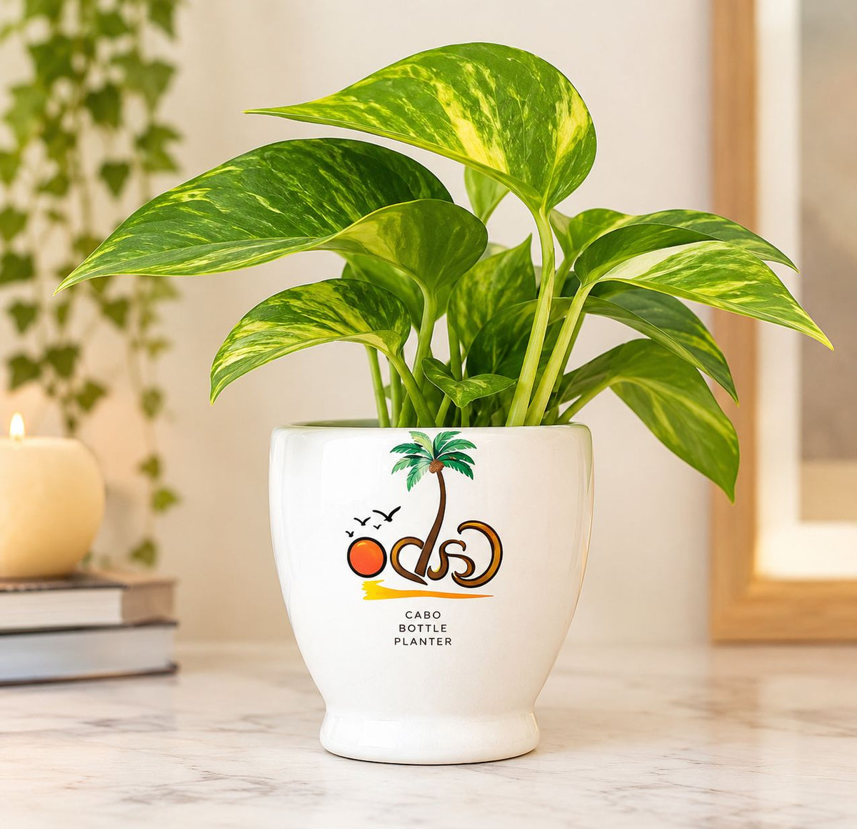 Cabo Planter