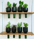 Rebello Hanging Bottle Planter Shelf — Upcycled Glass Bottle Wall Garden