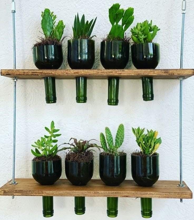 Rebello Hanging Bottle Planter Shelf — Upcycled Glass Bottle Wall Garden